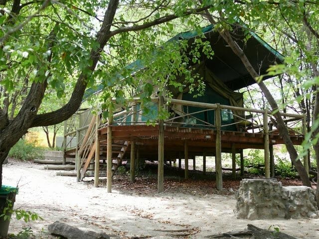 tienda de audi camp audi camp, camping botswana, camping maun, acampar en botsuana