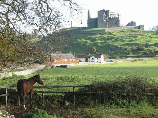 Qué ver en Rock of cashel