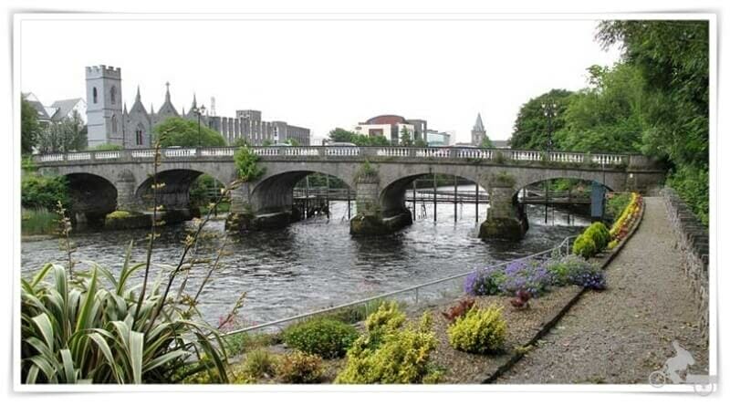 salmon weir puente