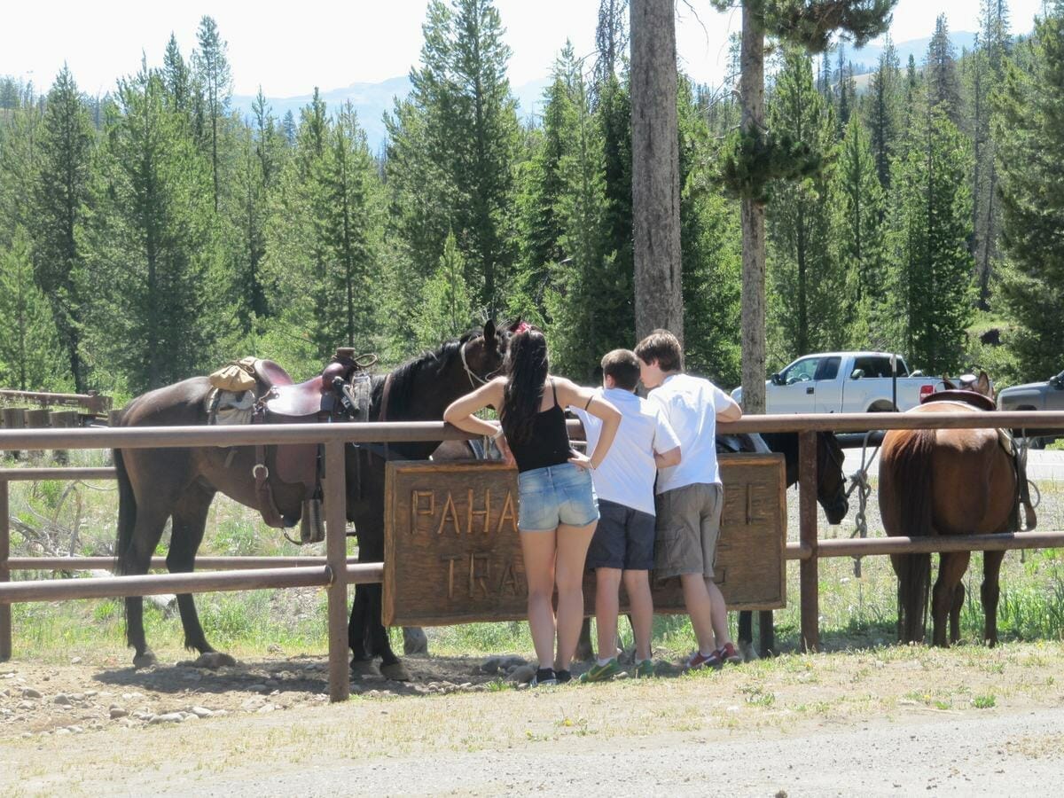 Caballos en Pahaska Tepee en Yellowstone