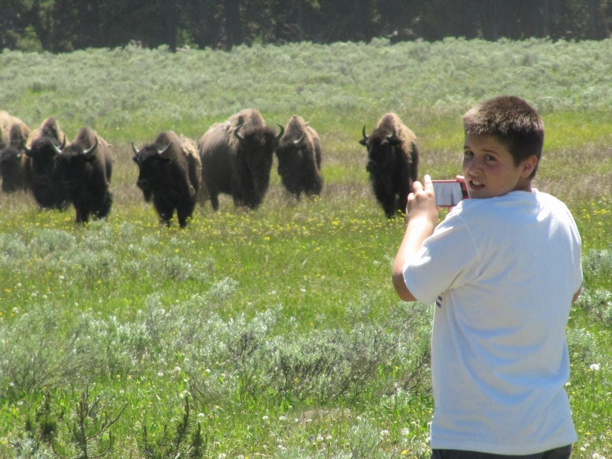 Qué ver en Yellowstone