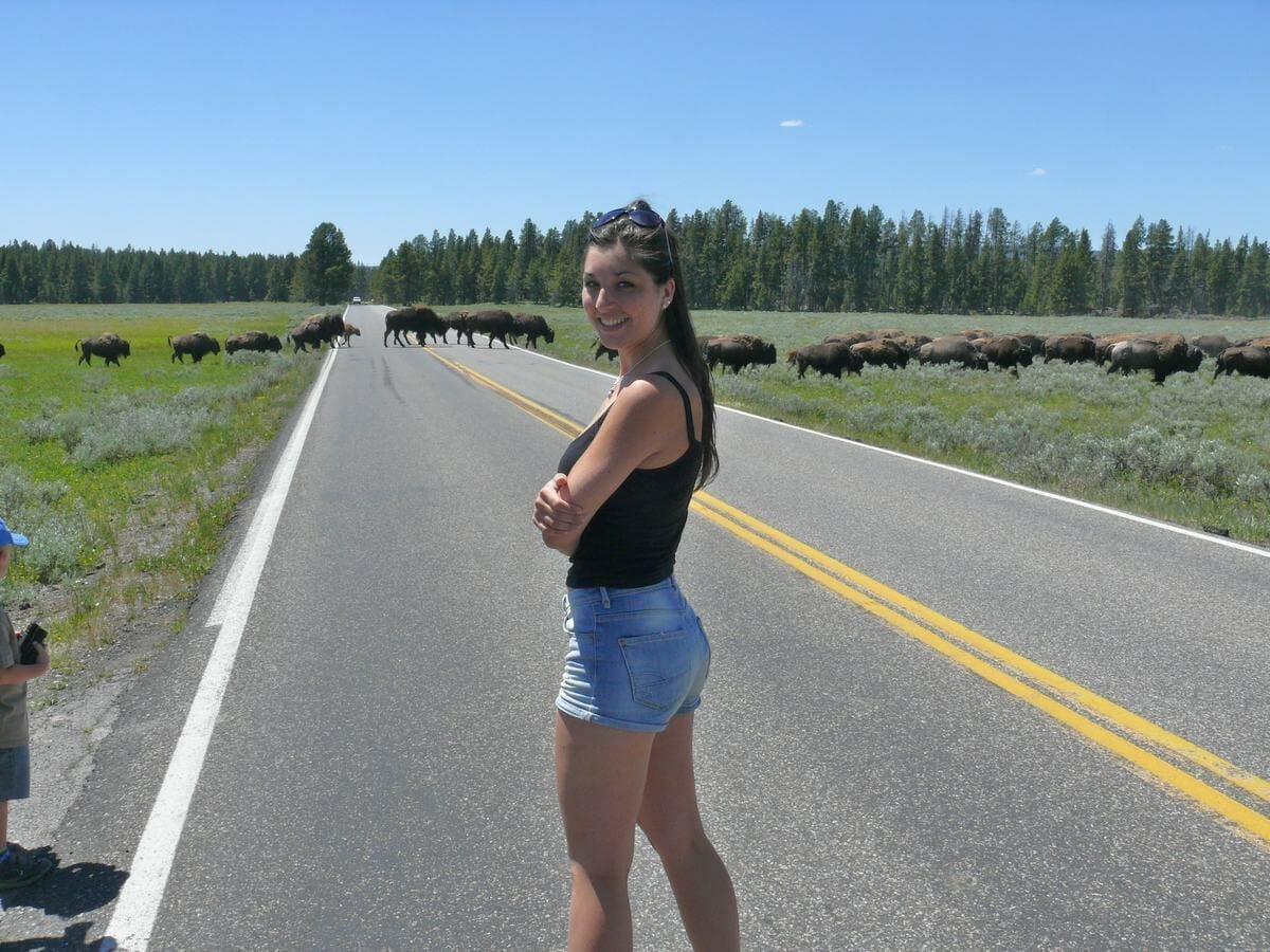 Qué ver en Yellowstone