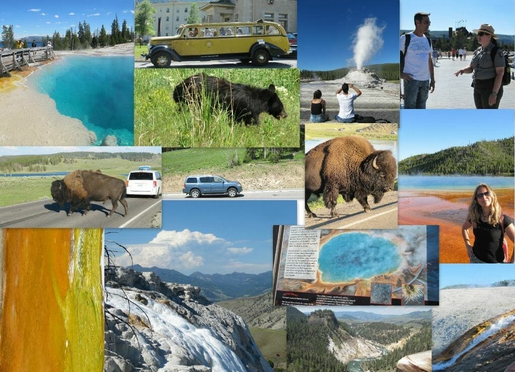 Collage Yellowstone National Park