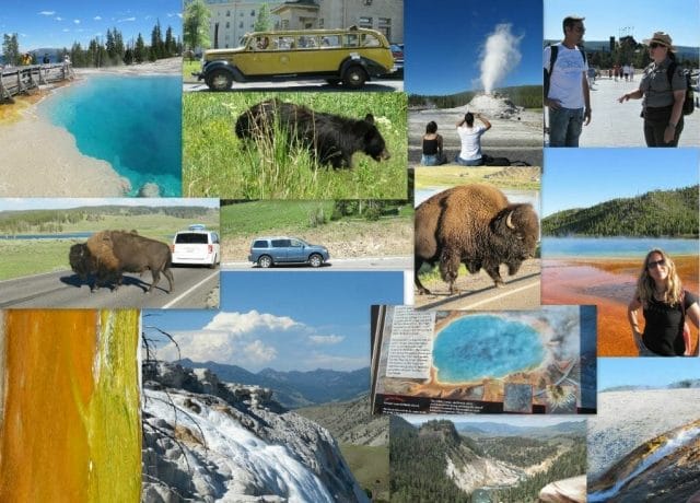 collage Yellowstone Yellowstone 2 - viaje a Wyoming y Dakota del Sur