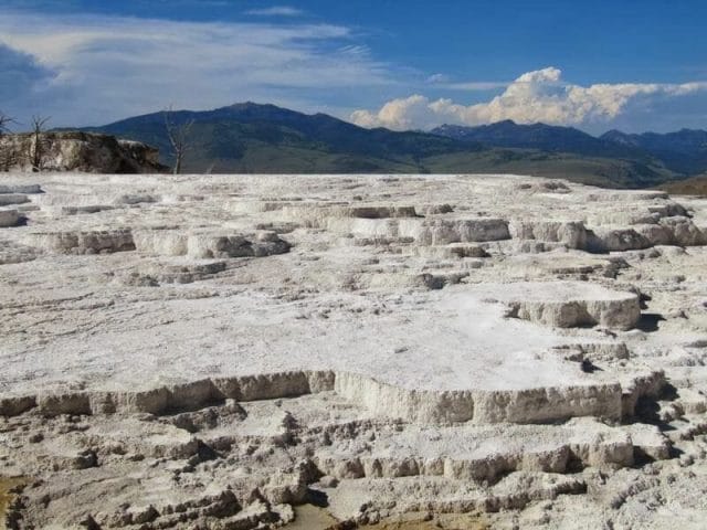 Canary springs