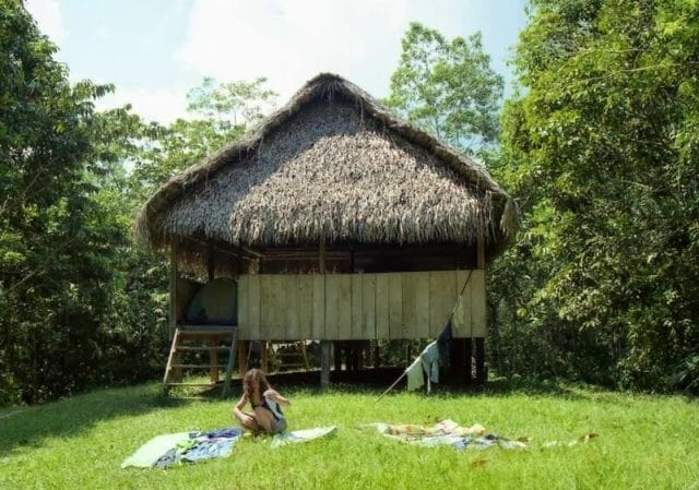 choza en la selva