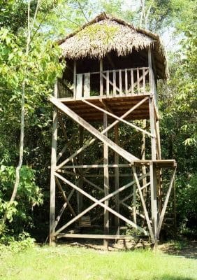 casa selva sudamericana