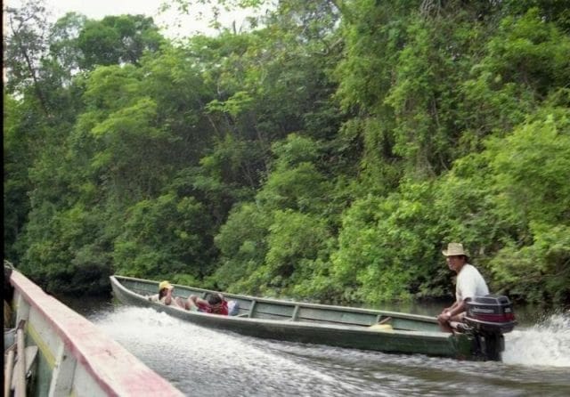 canoa selva
