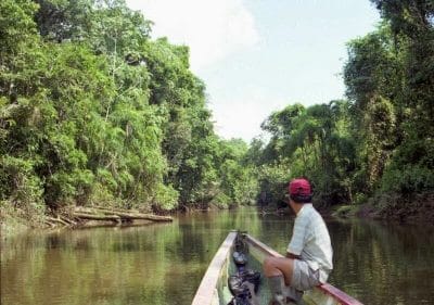 Parque Nacional de Cuyabeno
