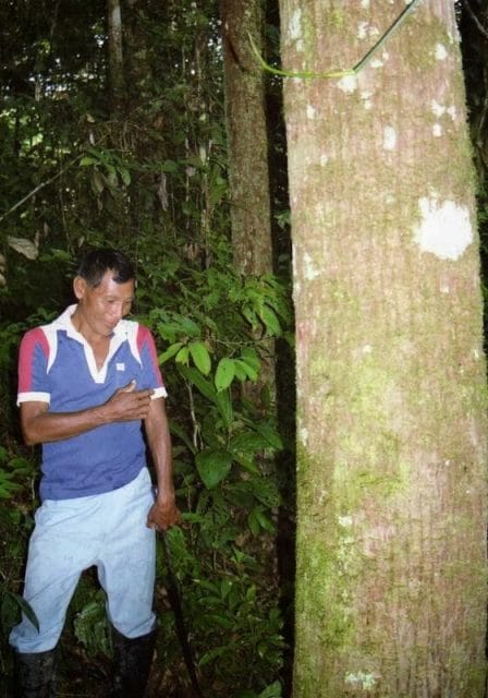 Parque Nacional de Cuyabeno