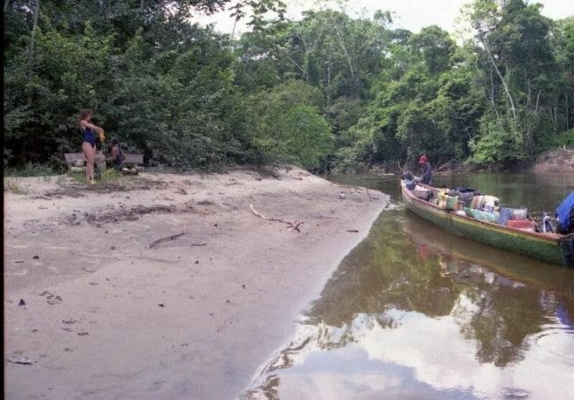 playa de la selva americana