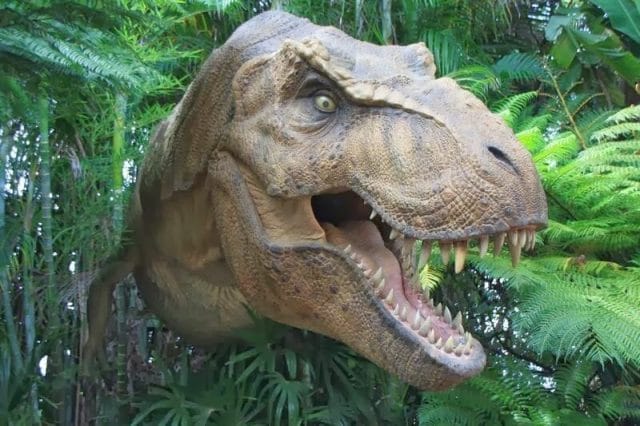 Jurassic park