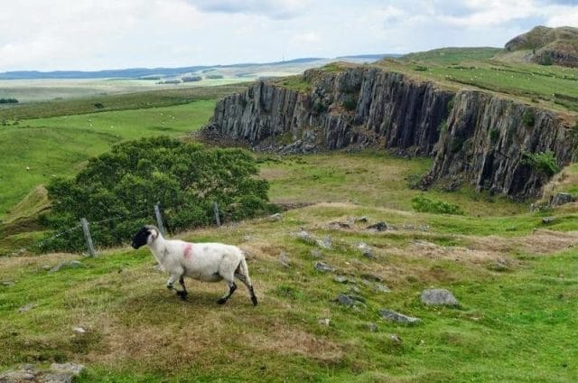 Walltown Crags