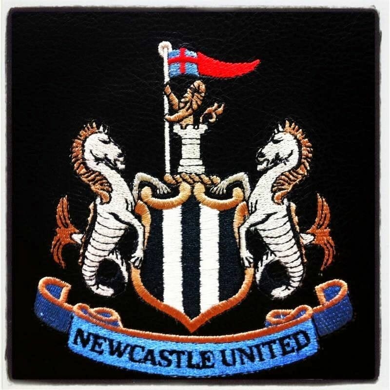 estadio Newcastle
