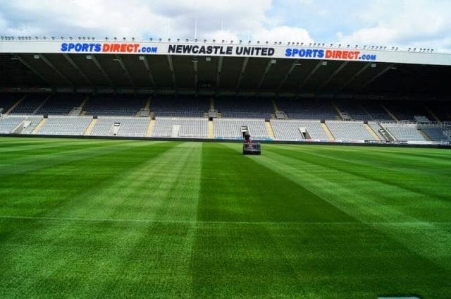 césped estadio de fútbol del Newcastle
