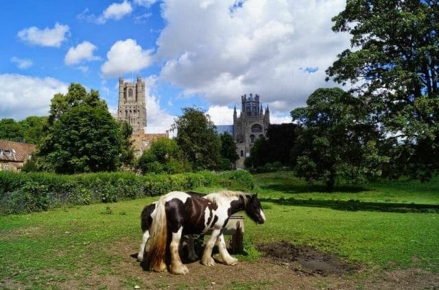 Catedral de Ely, catedrales Inglaterra, Gótico