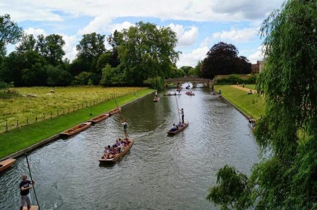 batea cam, cambridge, barca remos