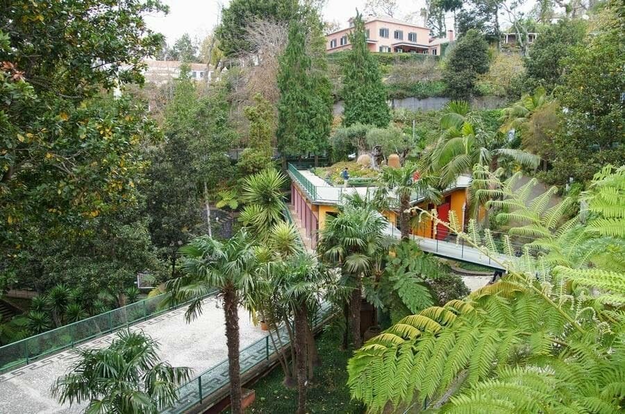 jardín botanico Funchal