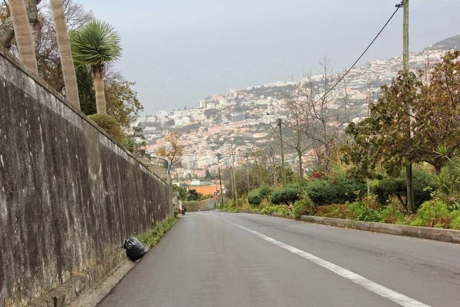 Bajada cestilleros de Funchal