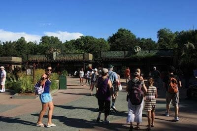 Disney Animal kingdom Orlando, entrada