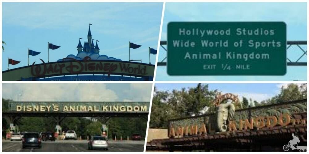 entrada disney animal kingdom orlando
