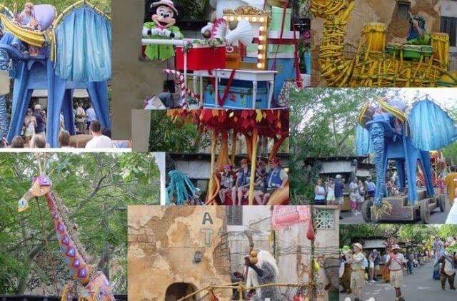 DESFILES DEL PARQUE animal kingdom orlando