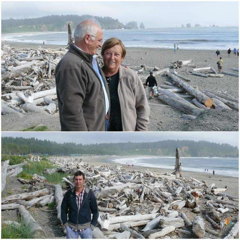 Mi baúl de blogs en la playa de la Push cerca de Forks
