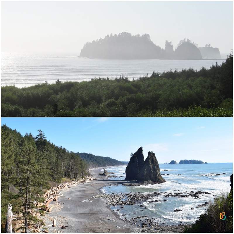 Playa, Rialto Beach