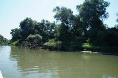 Delta del Danubio