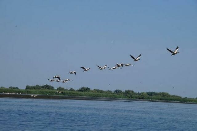 Delta del Danubio