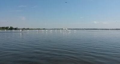 Delta del Danubio