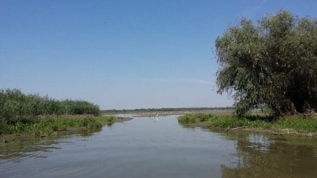 Delta del Danubio lago