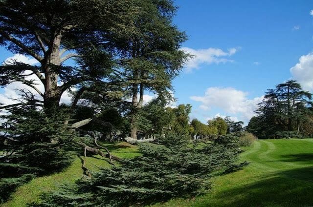 jardines castillo de Chaumont-sur-Loire