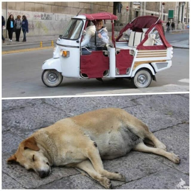 imagenes de Palermo