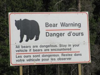 Ojo!! ZONA DE OSOS!! BEAR WARNING