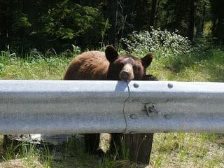 Parque Nacional de Jasper