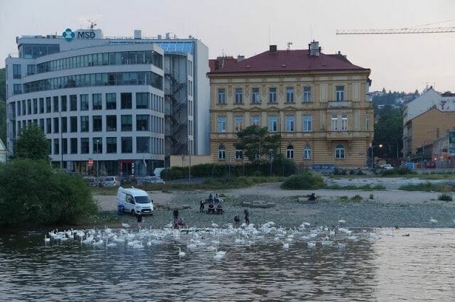 Paseo en barco en Praga por el río Moldava