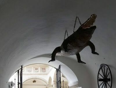 Qué ver en Brno, cocodrilo