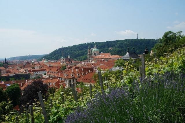 vides del castillo de Praga