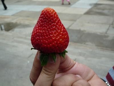 fresón comprado en la calle fresón