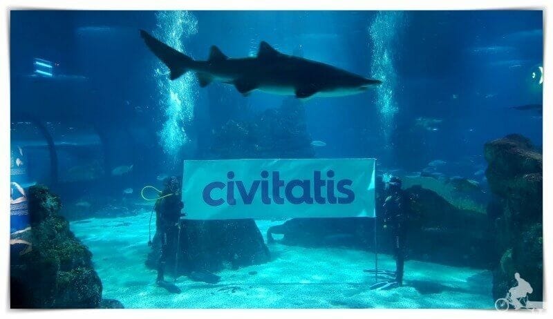 Qué es Civitatis y si son recomendables sus actividades turísticas