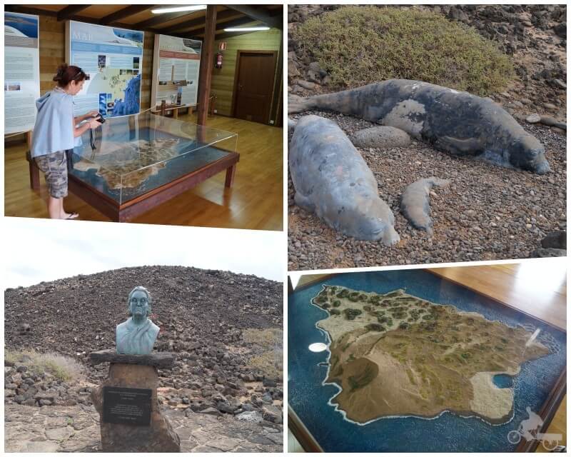 centro de visitantes isla lobos