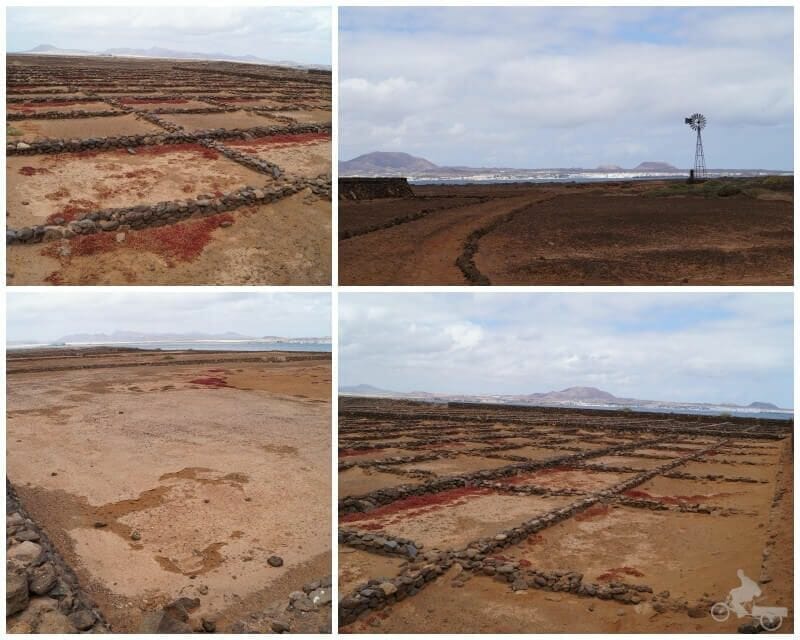 salinas - que ver en isla de Lobos