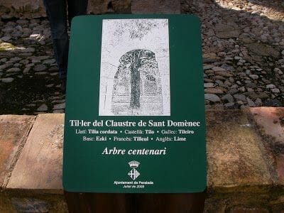 til.ler del claustre de Perelada