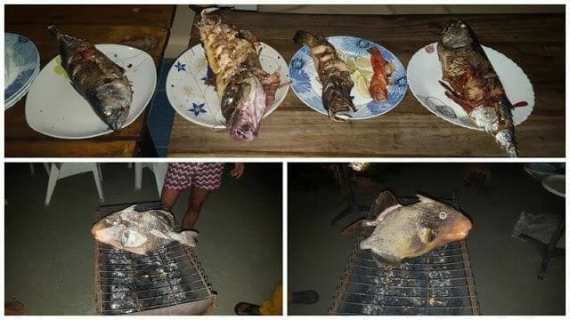pescado maldivas