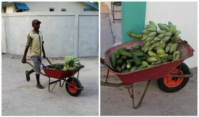 fruta isla de Nilandhoo Maldivas