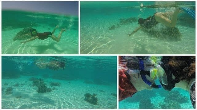 bucear en isla Odagalla