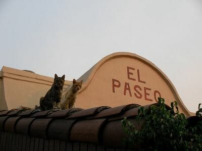Qué ver en Los Angeles en un día