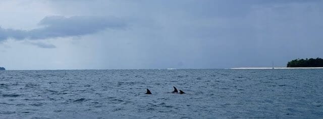 cayo Zapatilla desde Bocas del Toro