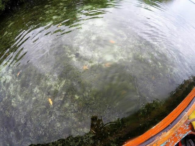cayo Zapatilla desde Bocas del Toro